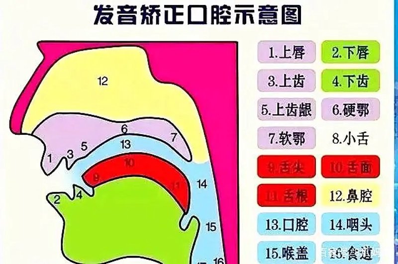 怎样应对口吃问题？